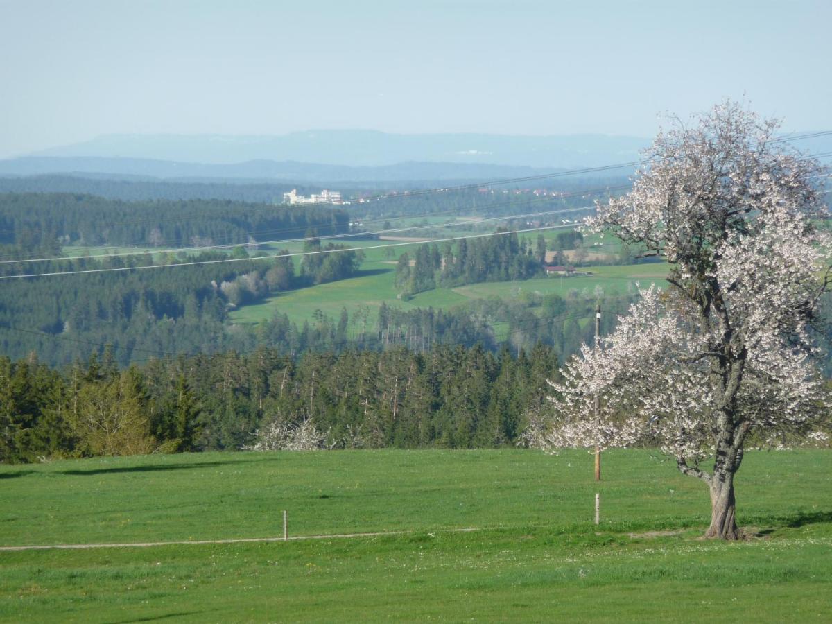Hoehenpension Glashuette Bed&Breakfast Fruehstueckspension Hotel Garni Bonndorf im Schwarzwald Extérieur photo